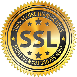 100% Secure Transactions SSL Certificate Badge