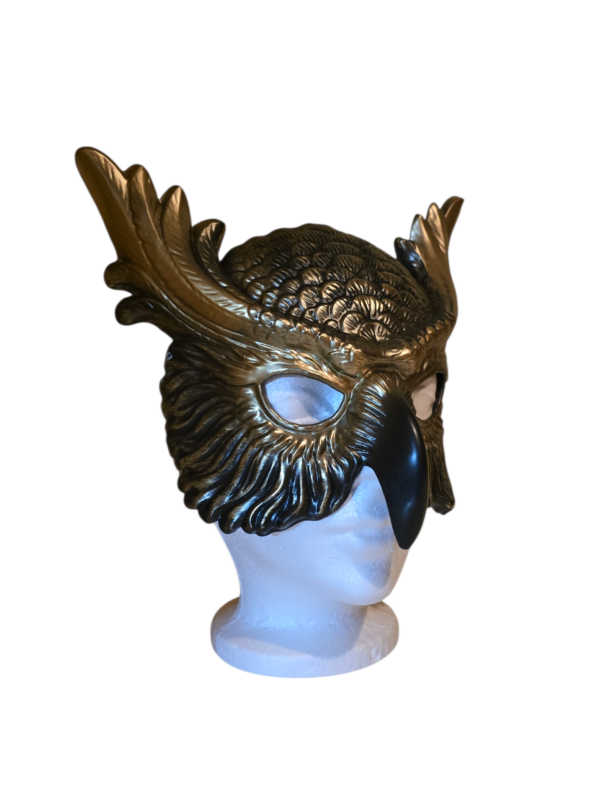 Elegant Eagle Bird Mask